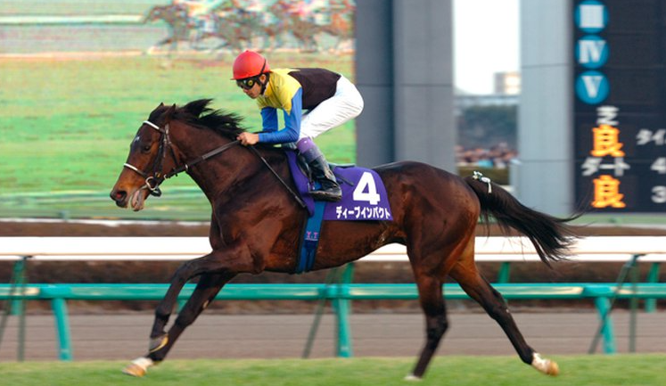 The Most Challenging Courses for Horses