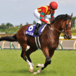 The Most Advanced Training Technologies