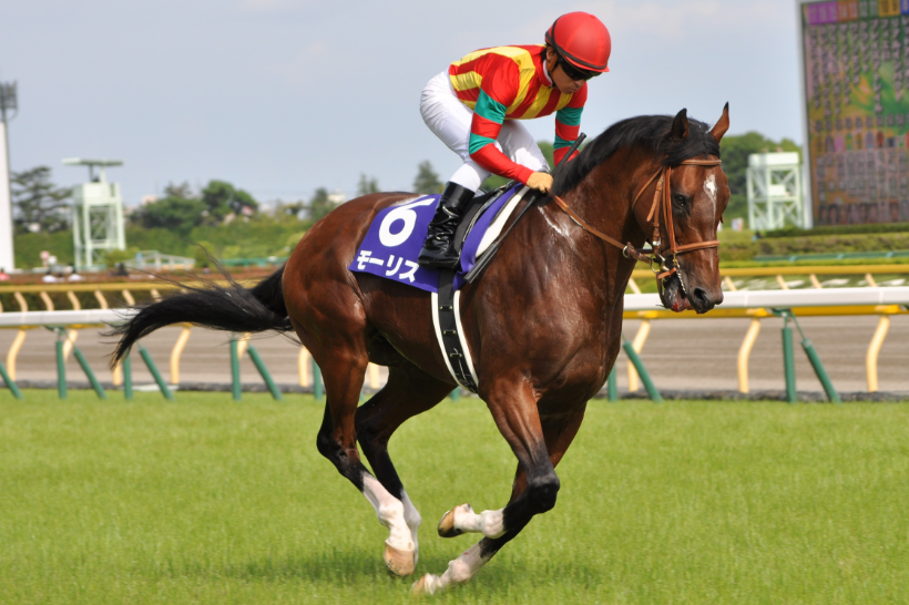 The Most Advanced Training Technologies