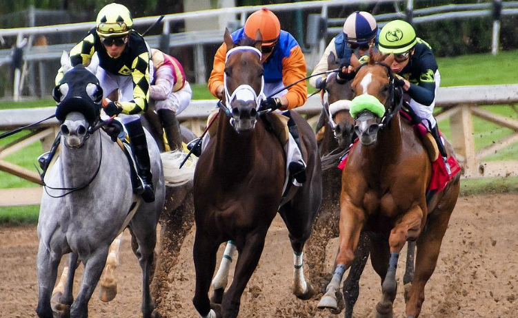 The Importance of Rest and Recovery