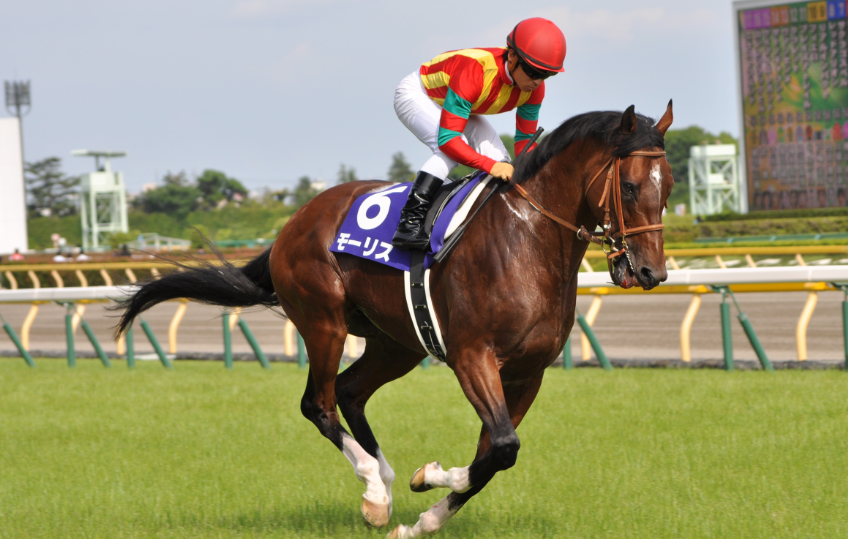The Most Creative Derby Hats Ever Made
